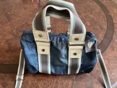 LeSportsac レスポートサック　ANA機内限定販売品 風間ゆみえコラボ