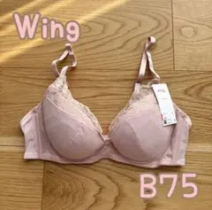 Item thumbnail for item ec7bcd6f-df7d-486f-a1c0-3dd1cc42406b