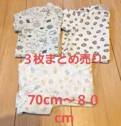 Item thumbnail for item e45b0003-a21e-4193-8795-81044b4f4433