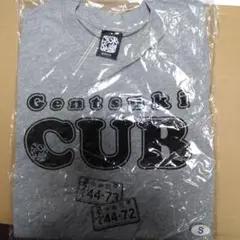 水曜どうでしょう 原付日本列島制覇 Tシャツ モクグレー　未開封