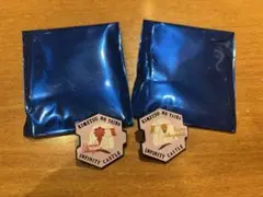 鬼滅の刃　無限城編　キャラクターモチーフピンズ　産屋敷かなた くいな2点
