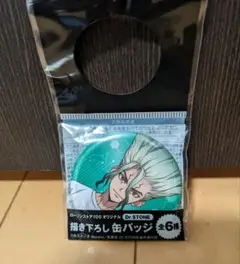 Dr.STONE 描き下ろし 缶バッジ 千空