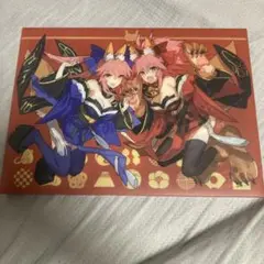 ワダアルコ ワダメモ ファイルケース 玉藻の前 タマモキャット