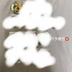 syudou 我武者羅 露骨 新春決起集会 缶バッジ トレカ ぶんきちアクキー syudou 我武者羅 缶バッジ へべれけジャンキー