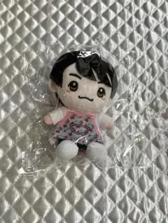 和田雅成　ぬいぐるみ