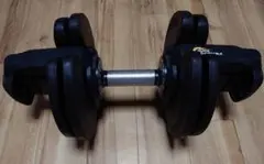 ボディテック 可変式ダンベル40kgの内20kg分 ×1個