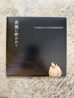 2025年最新】evisbeats いい時間 レコードの人気アイテム - メルカリ