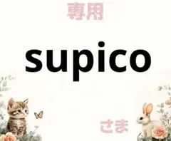 専用