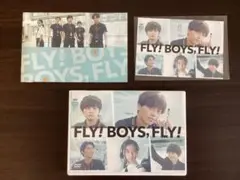 FLY! BOYS, FLY! 【DVD】ポストカード付き　永瀬廉　北村匠海