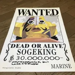 ワンピースWANTED