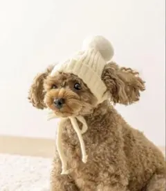 Item thumbnail for item b9459048-0364-42ce-afc7-f1626afce0a5