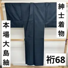 紳士着物 裄68 正絹 本場大島紬 泥藍染め 亀甲 U-8443