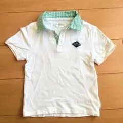 Item thumbnail for item 13c8505a-fbb2-4fcf-92d0-25ab8779e28f