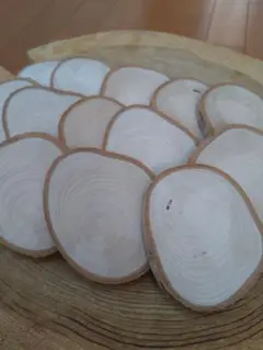 Item thumbnail for item bb522cf8-6f94-4f2b-baf6-fb8c47313681