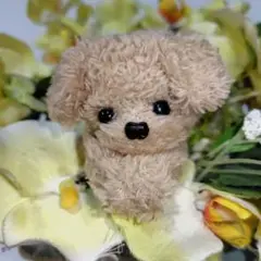 Item thumbnail for item 5fb869e6-d941-4563-b4f9-49043ed71d88