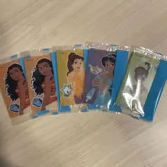 ディズニープリンセスカードセット