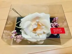 Item thumbnail for item c7289f38-31f9-4509-80a6-7336db7d45d9