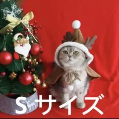 Item thumbnail for item 83d6b606-34ca-493c-9910-081a1a5a6812