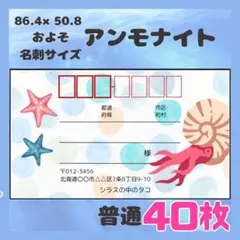 【アンモナイト】宛名シール　差出人シール　普通サイズ　40枚　シンプル　海　魚