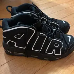 Item thumbnail for item 298444bf-21aa-4a44-a816-3d019a89539c