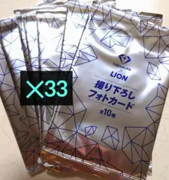 TREASURE × LION 撮り下ろしフォトカード 33枚 未開封