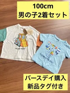 バースデイ フタフタ テータテート 100cm プティマイン スラップスリップ