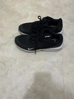 Nike Air Max ブラック