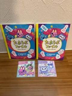 たまラボファイル 2個セット