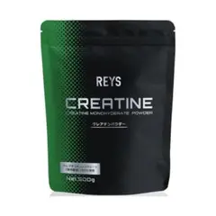 【クレアチン】REYS レイズ クレアチン パウダー 500g 約100回分