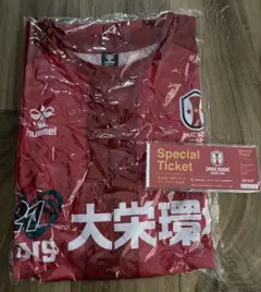 INAC神戸観戦チケット10枚 & ユニフォーム