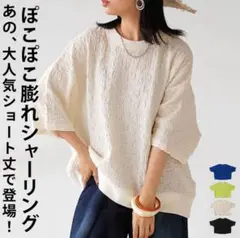 DUM301 美品 antiqua プルオーバー エクリュ ポコポコ F