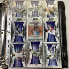 Ace テニス トレーディングカード Aceシリーズ 2007 杉山愛　他