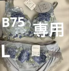 ワコール　アンフィ　峰不二子　ショーツ　限定
