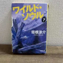 ワイルド・ソウル 下 垣根涼介 新潮文庫