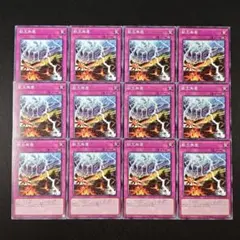 11468 遊戯王 獣王無塵 12枚セット