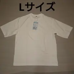 氷撃 冷感 ワークマン Tシャツ L 白