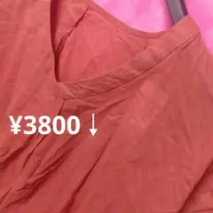 ⚜️✨⚜️Sサイズ【限定♥】シェアパーク半袖　カットソー　茶　¥3800↓
