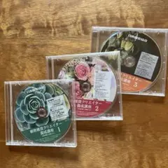 植物雑貨クリエイター養成講座 テキスト&DVDセット 今 2025年最新】植物雑貨クリエイター養成講座の人気アイテム