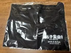 Item thumbnail for item 9344c085-7677-4ef7-a745-4fde1e168851
