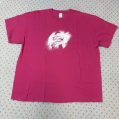 ☆大きいサイズ　フロリダ　ユニバーシティ　ヘルス　半袖　Tシャツ　2XL