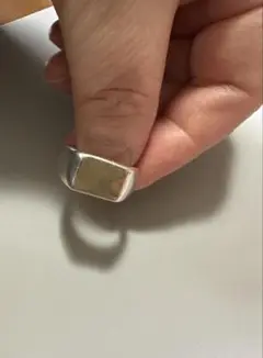 Item thumbnail for item a8d0c178-f0e0-4da9-a850-f6722bde3dbe