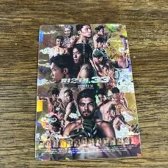 RIZIN ポテトスティック