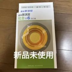標準新演習　社会　小6
