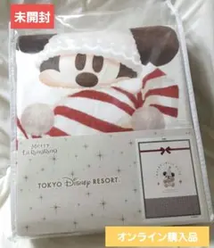 2025年最新】ディズニー 毛布 リルリンリンの人気アイテム