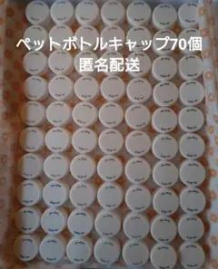 ペットボトルキャップ　70個　白色