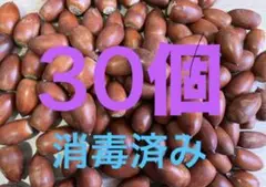 Item thumbnail for item 932d0bab-3525-4e17-aa18-3c4eb7fa0be2