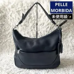 Item thumbnail for item 19cece5f-45c1-4b12-8232-1351b10d7d3d