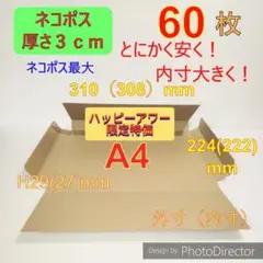 発送用　ネコポス最大サイズ 厚さ3㎝ 対応★ A4 ダンボール 箱 ★