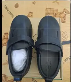 Item thumbnail for item 95d2384f-eb95-4a85-a72a-b2c475fdb6c6