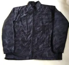 Item thumbnail for item e0aef653-fd40-409e-ad8d-3382e83031dd